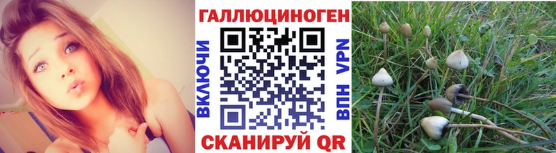 купить наркотики цена  Спас-Деменск  Псилоцибиновые грибы мицелий 