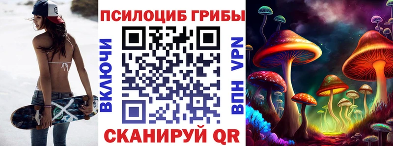 Псилоцибиновые грибы Psilocybine cubensis Спас-Деменск